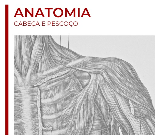 Ebook Anatomia de Cabeça e Pescoço