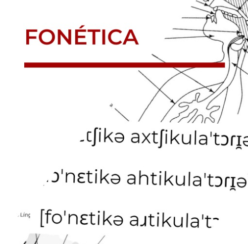 Ebook Fonética