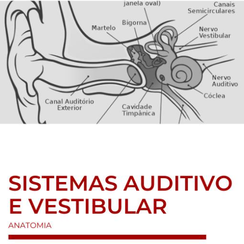 Ebook Anatomia do Sistema Auditivo e Vestibular