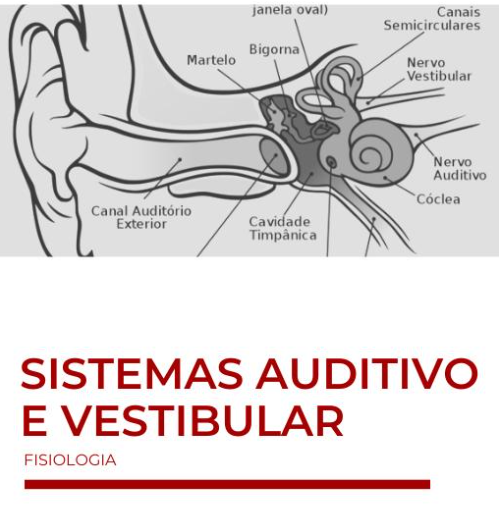 Ebook Fisiologia do Sistema Auditivo e Vestibular